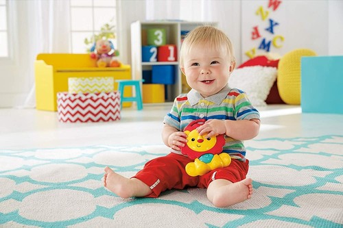 Fisher price amis - amis, la