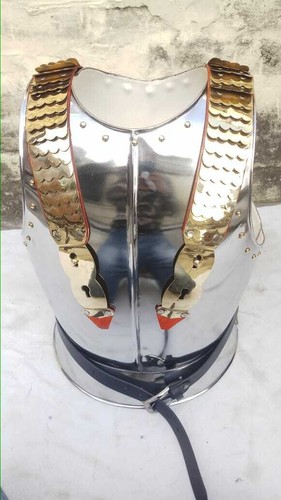 Chevalier médiéval cuirass