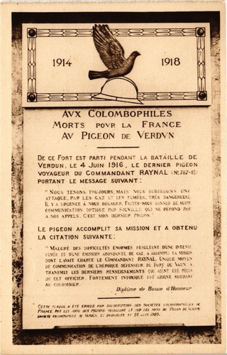 Cpa militaire aux - cpa,