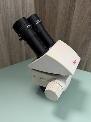 Leica m60 binocular stereo - m60,
