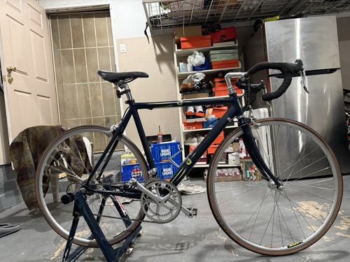 Vintage pinarello surprise - vintage,
