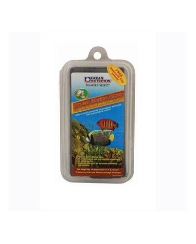 Ocean nutrition algues marines - ocean,