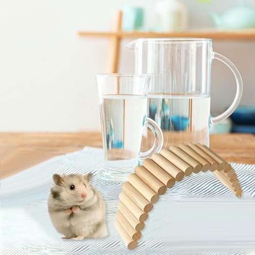 Hamster pont bois - pont, en