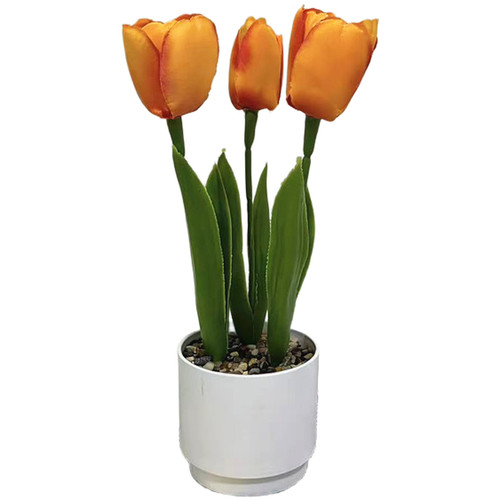 Centre table tulipe - table,