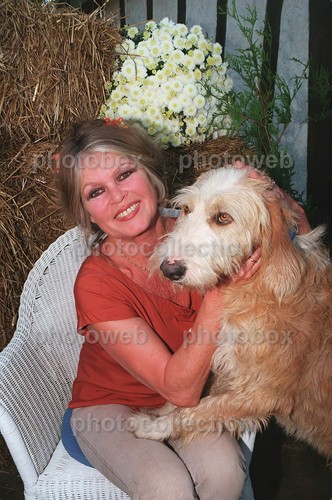 Brigitte bardot exclusive - brigitte,