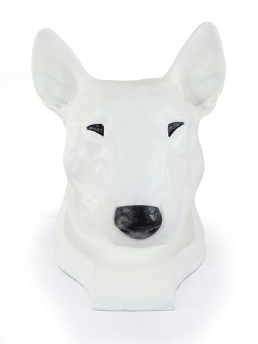 Bull terrier grand tête - grand, en
