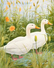 Affiche Oies blanches dans la