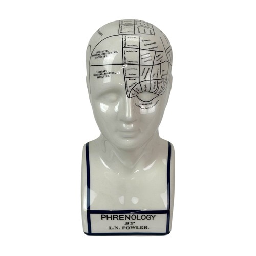 Ceramic phrenology bust - ceramic,