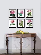 Antique Fleurs Set De 6