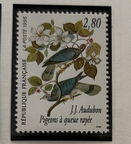 Timbre france neuf - , j.j