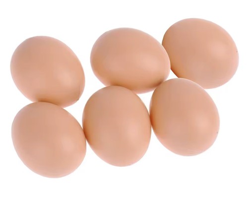 œufs faux poule pour - Œufs,