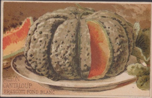 Etiquette ancienne legume - etiquette, ancienne/legume