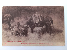 1 CPA - 14/18 - Mulet porteur