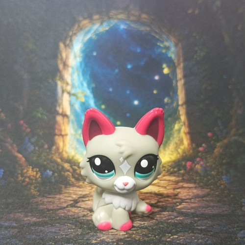 Chat persan 25 littlest - #25,