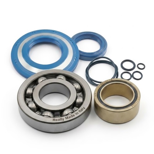 Kit révision arbre moteur - révision,