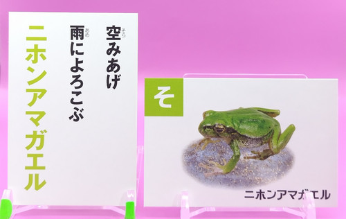 Paire cartes japonaises - de,