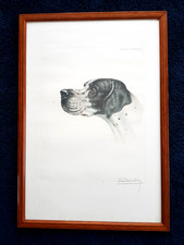 LEON DANCHIN TETE DE POINTER