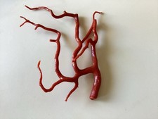 Très Originale Branche de Corail de Méditerranée très belle couleur  28 Gr