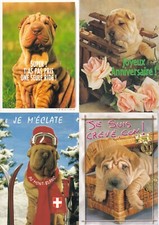Lot de 4 cartes postales