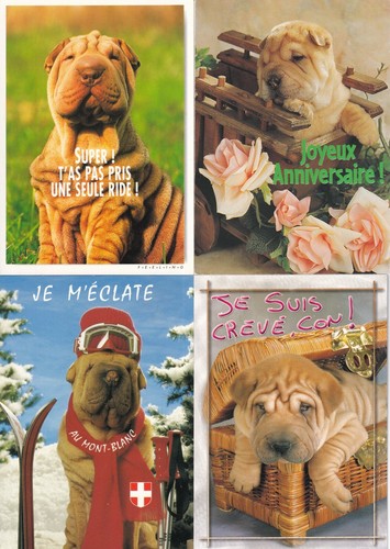 Lot cartes postales - de, 4