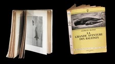 [PECHE ANTARCTIQUE BALEINIERS] BLOND (Georges) - La Grande aventure des baleines