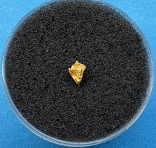 1 pépite d'or Australie 24k -