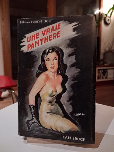 Fleuve noir jean - fleuve, bruce