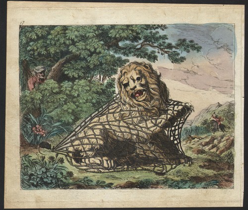 1802 gravure aquarellée lion - 1802,