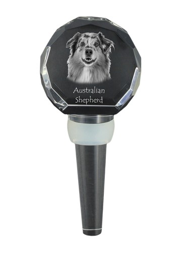 Chien berger australien - berger,