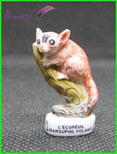 Feve les animaux sauvage - les,