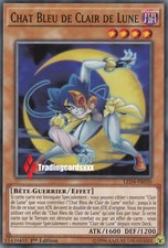 ♦Yu-Gi-Oh!♦ Chat Bleu de