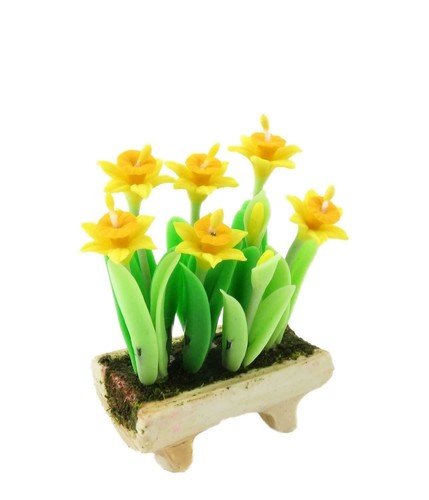 Maison poupée jonquilles - de,