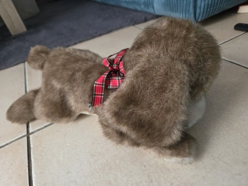 Doudou peluche chien - doudou,