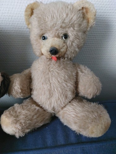 Bel ours ancien teddy - ancien,