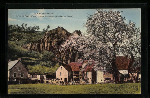 Cpa domfront normandie - la,