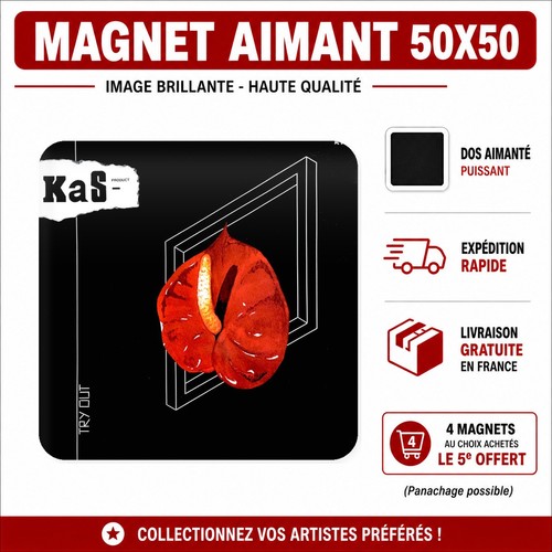 Magnet kas product - french, punk