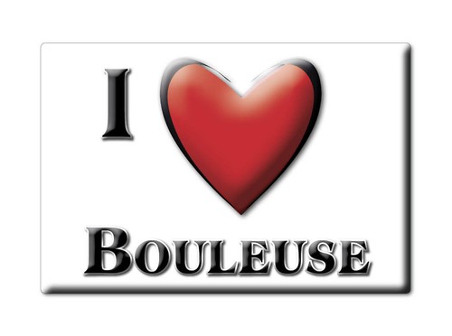 Aimant sur bouleuse midi - sur, bouleuse,