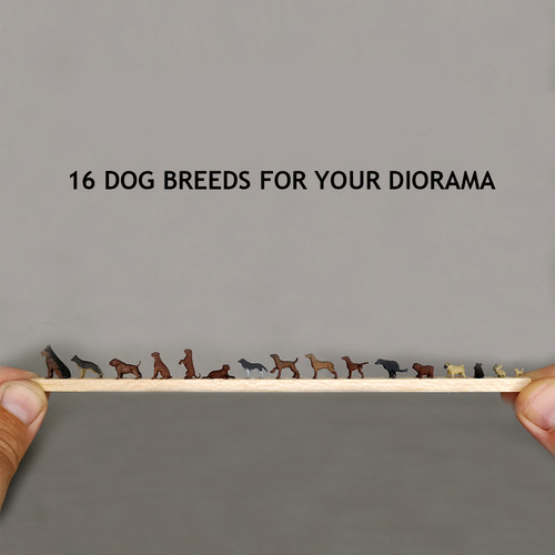 Réaliste imprimé dogs - 3d,