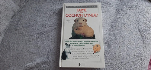 Aime mon cochon inde - d'inde,