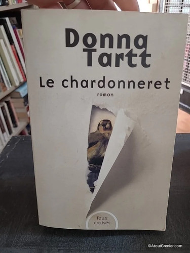 Chardonneret donna - chardonneret,