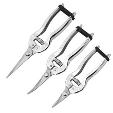 Cisailles à couper branche