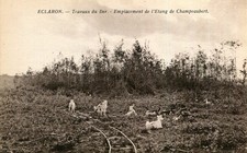 Carte ECLARON Travaux du Dr Emplacement de l'Etang de Champeaubert