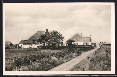 Texel zuid haffel ortpartie - texel,, zuid-haffel,