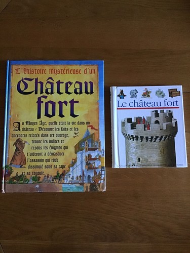 Livres theme chateau fort - 2,