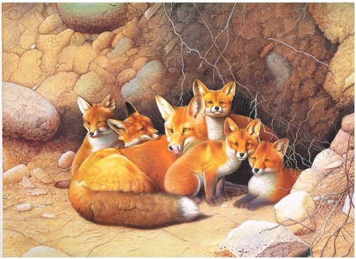 Tableau peinture nature renard - tableau,