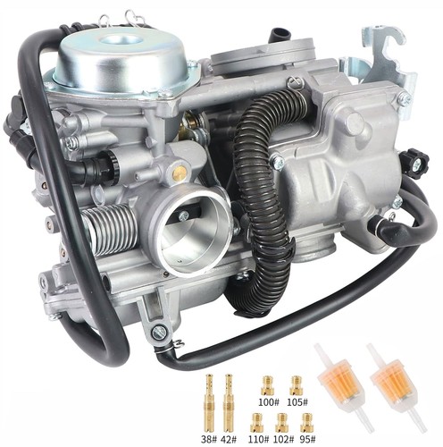 Carburetor fuel filter - carburetor,