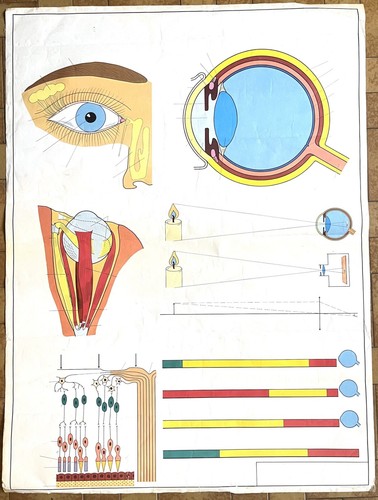 Ancienne affiche - 👁️,
