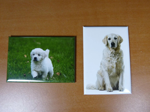 Lot magnets aimants 7 8 - lot, cm