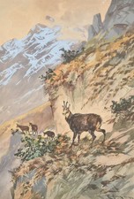 Chamens dans une montagne |