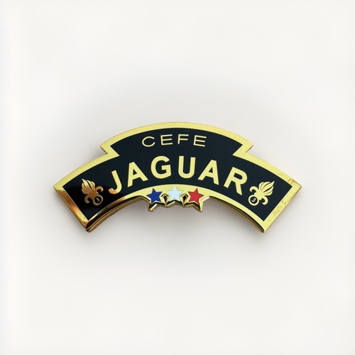 Insigne brevet commando - insigne,